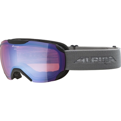 Masque De Ski Alpina Pheos S Black Grey / HM Blue