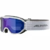 Masque De Ski Alpina Pheos Junior White MM Blue