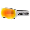Masque De Ski Alpina Alpina Naator Q-Lite White